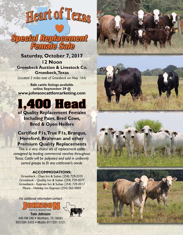 Johnson Cattle Marketing